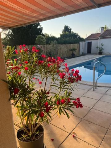 Bed and Breakfast Les Voyages De Louison Lavardac Екстер'єр фото